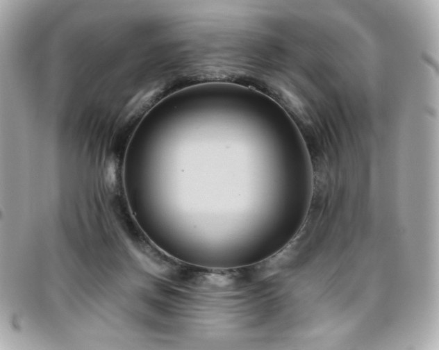 X0000096460166200801241414