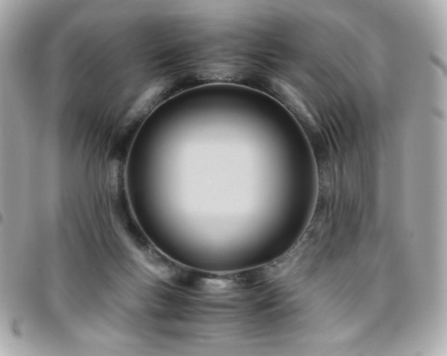 X0000096460167200801241414
