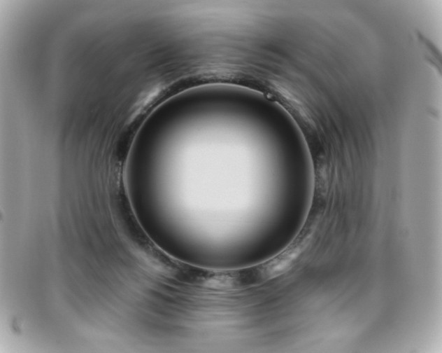 X0000096460168200801241414