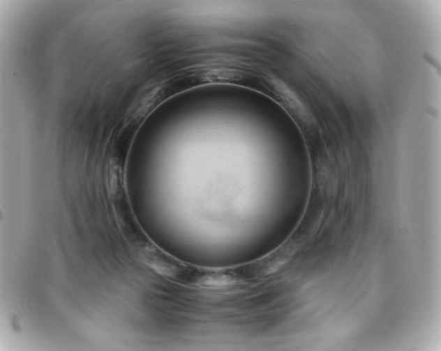 X0000096460169200801241414