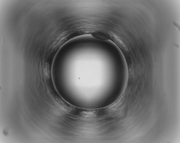 X0000096460170200801241414