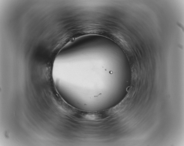 X0000096460171200801241414