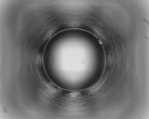 X0000096460172200801241414