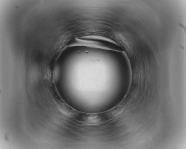 X0000096460173200801241414
