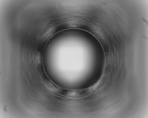 X0000096460174200801241414