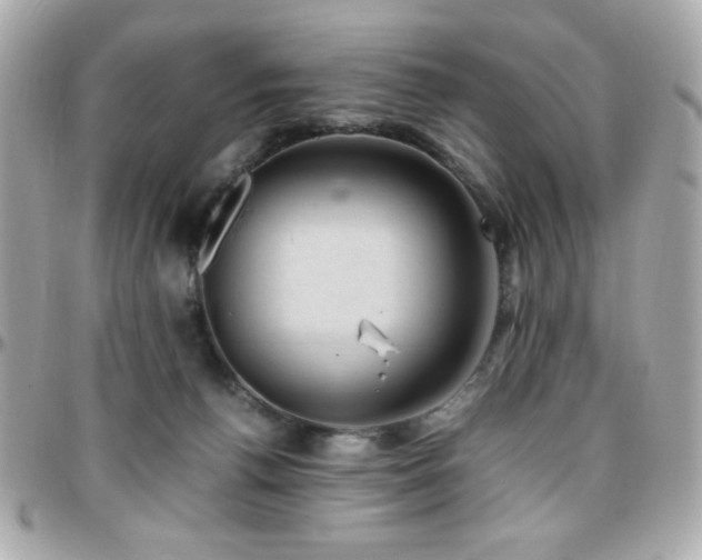 X0000096460176200801241415
