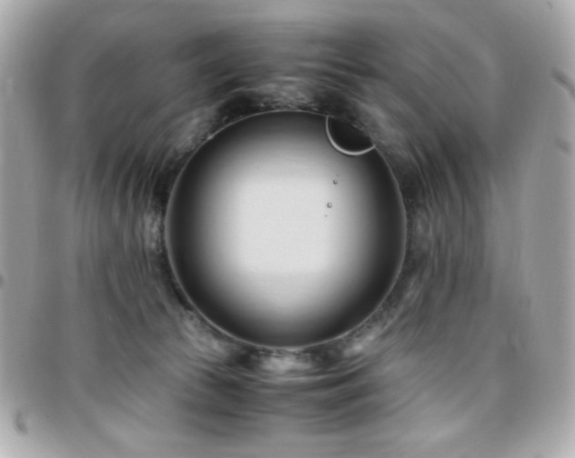 X0000096460177200801241415