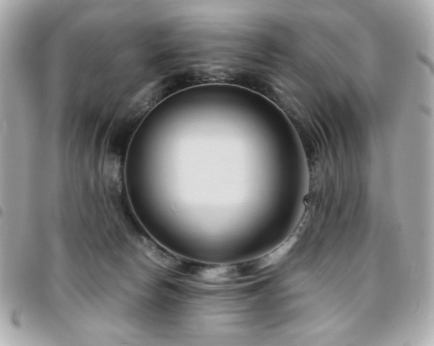 X0000096460178200801241415