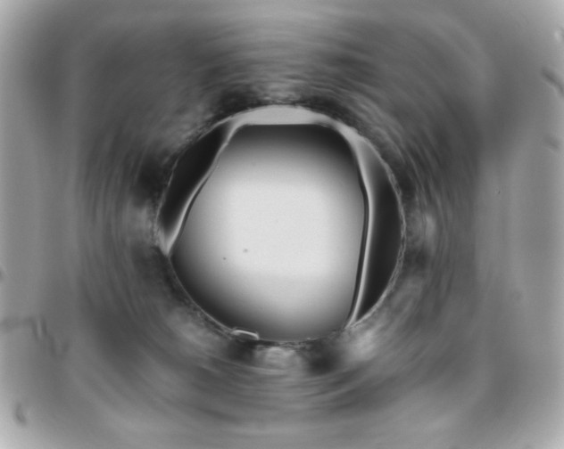 X0000096460180200801241415