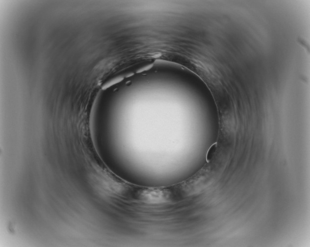 X0000096460181200801241415