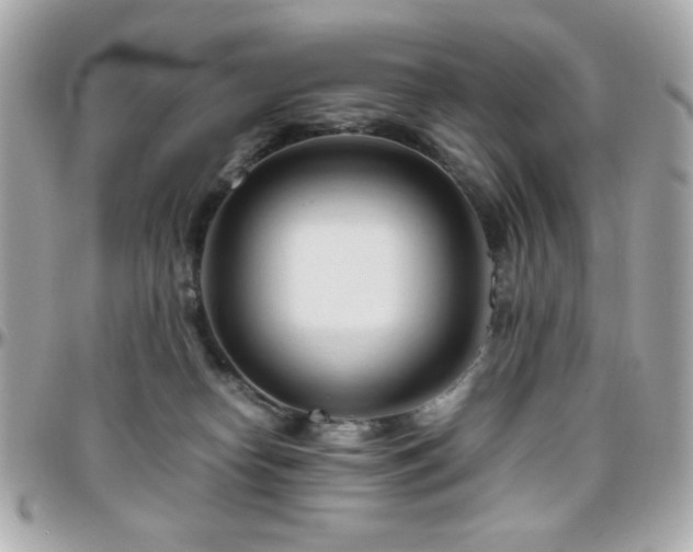 X0000096460182200801241415