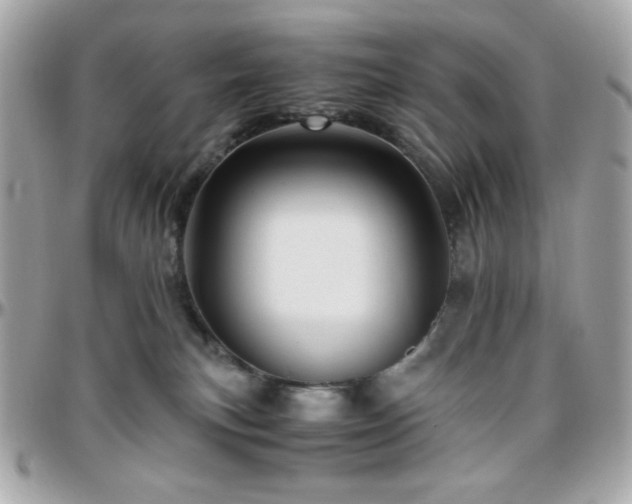 X0000096460183200801241415