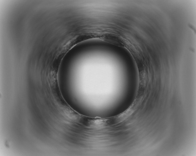 X0000096460184200801241415
