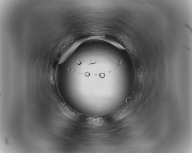 X0000096460185200801241415