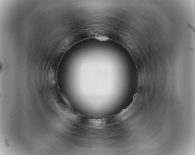 X0000096460187200801241415