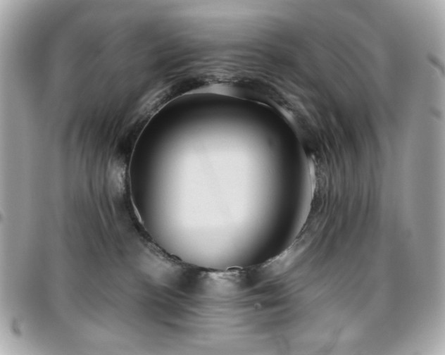X0000096460188200801241415