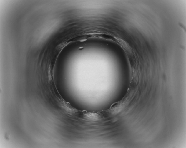 X0000096460189200801241415
