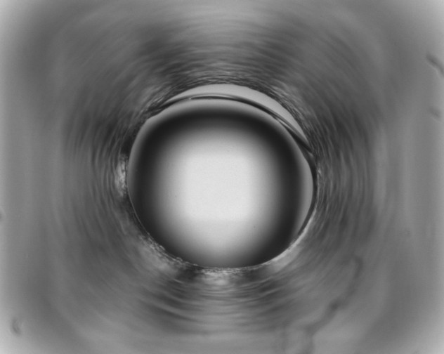 X0000096460190200801241415