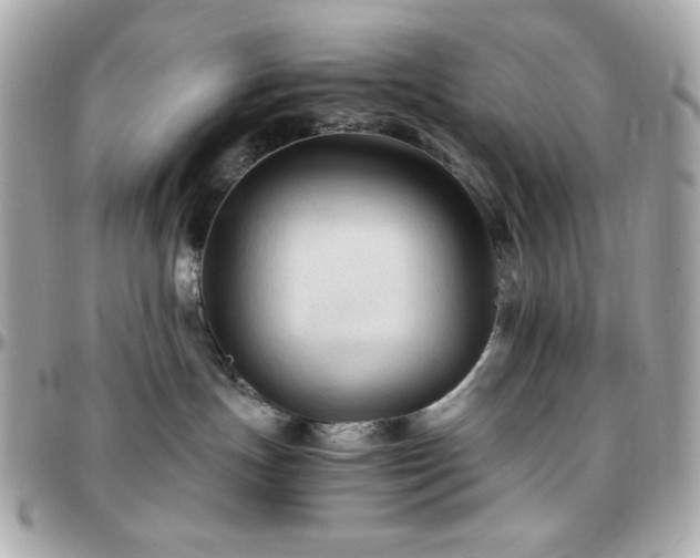 X0000096460191200801241415