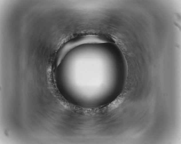 X0000096460192200801241415