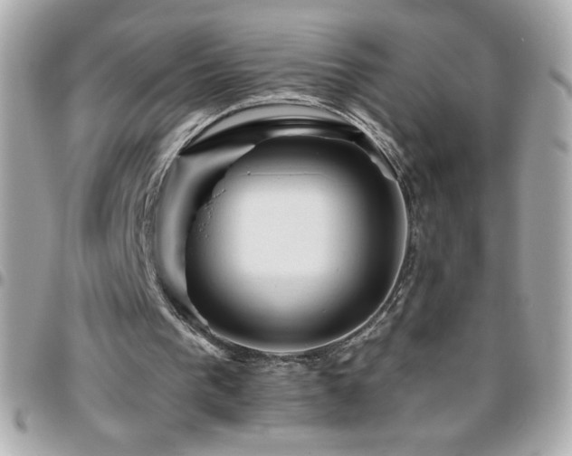 X0000096460193200801241414