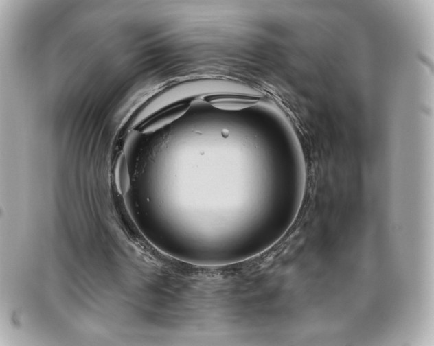 X0000096460194200801241414