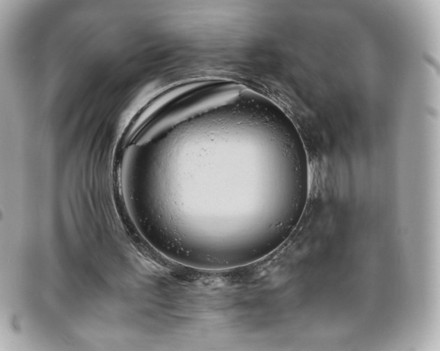 X0000096460195200801241414