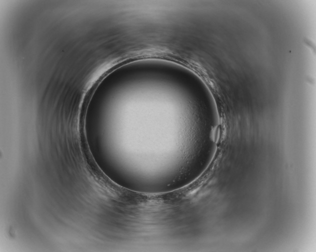 X0000096460196200801241414
