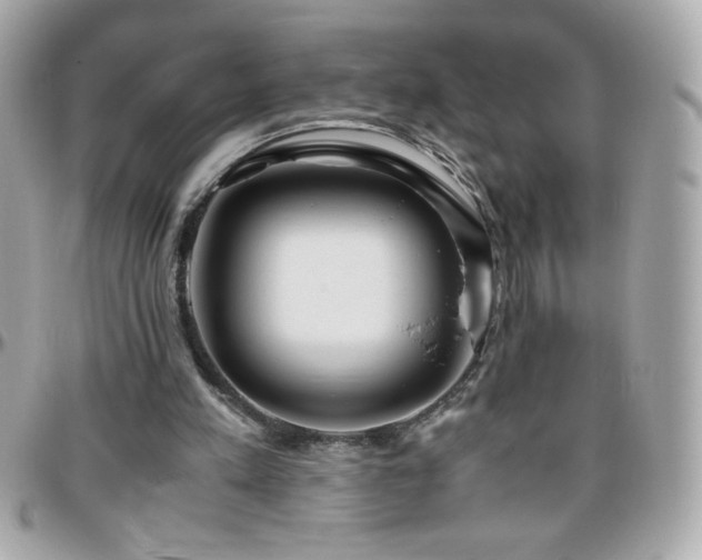 X0000096460197200801241414