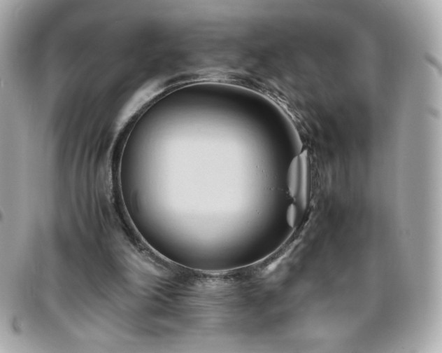 X0000096460198200801241414
