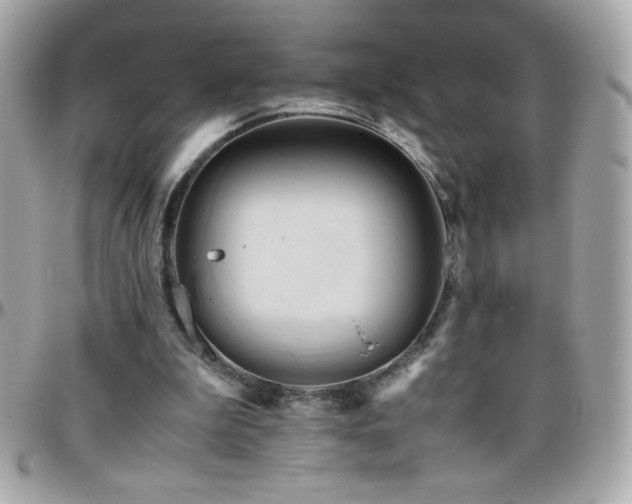 X0000096460199200801241414