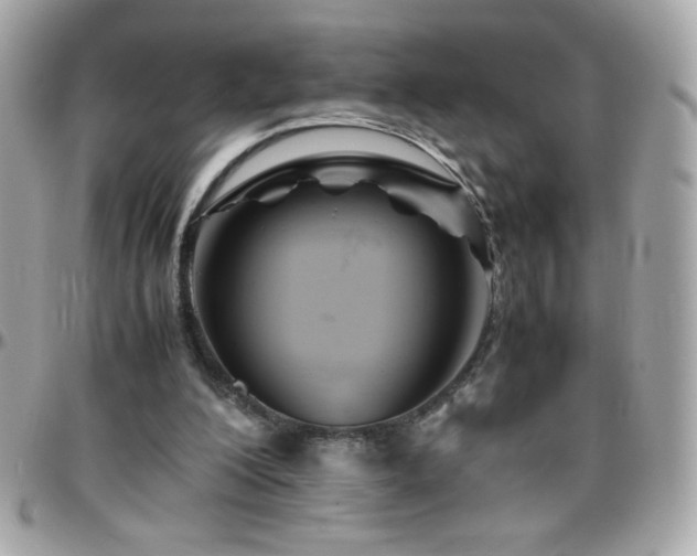X0000096460200200801241414