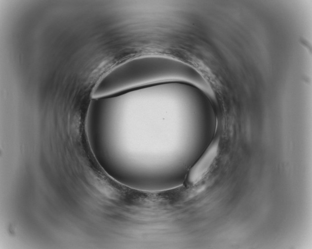 X0000096460201200801241414