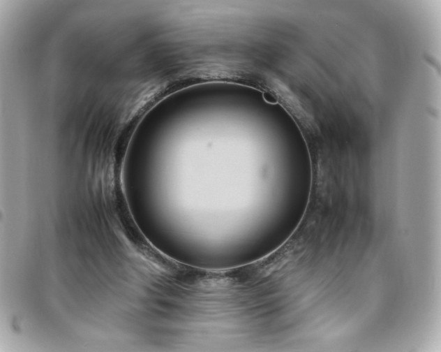 X0000096460202200801241414
