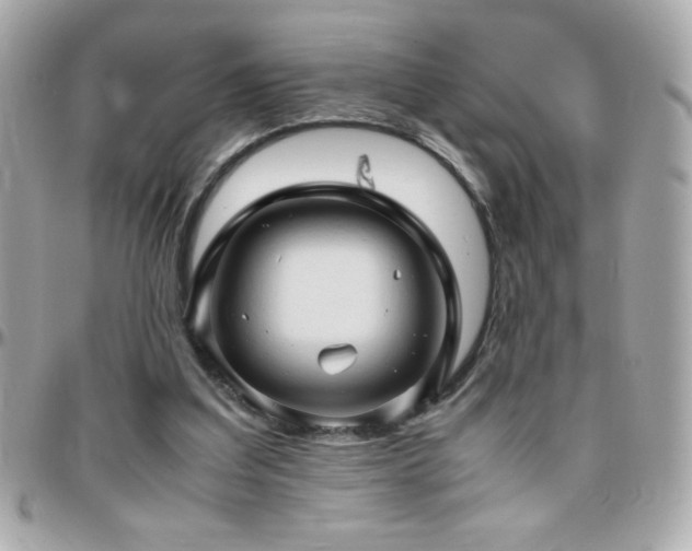 X0000096460203200801241414