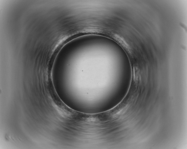 X0000096460204200801241414