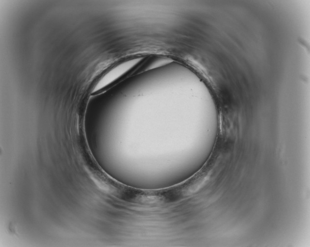 X0000096460205200801241414