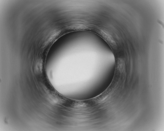 X0000096460206200801241414