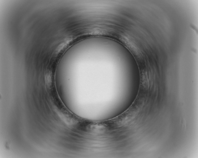 X0000096460208200801241414