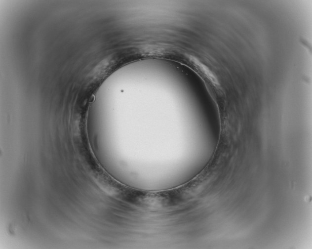 X0000096460209200801241414
