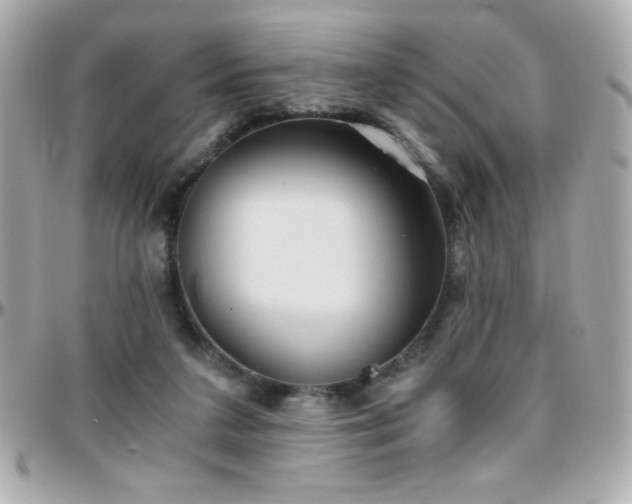 X0000096460211200801241414