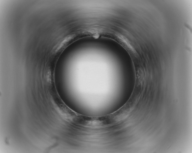 X0000096460212200801241414