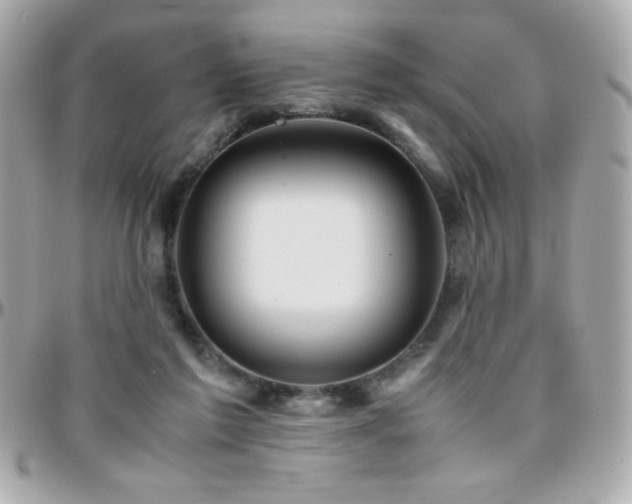 X0000096460213200801241414