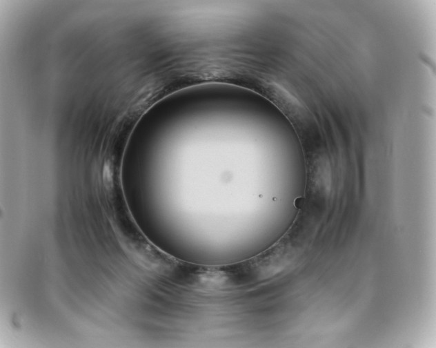 X0000096460214200801241414