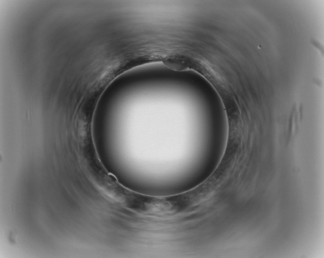 X0000096460215200801241414