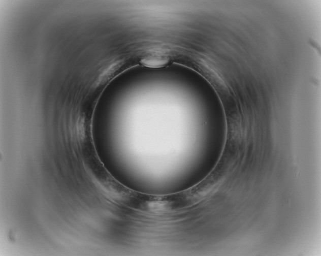 X0000096460216200801241414