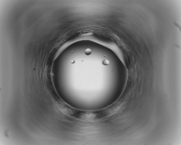 X0000096460217200801241414