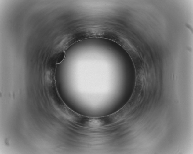 X0000096460218200801241414