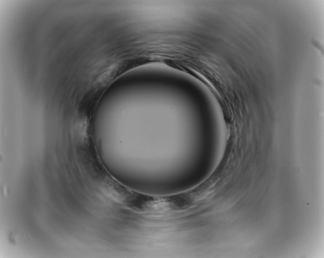 X0000096460219200801241414