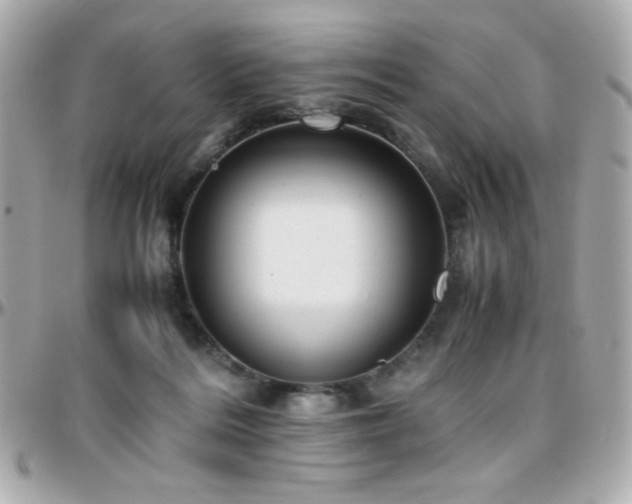 X0000096460220200801241414